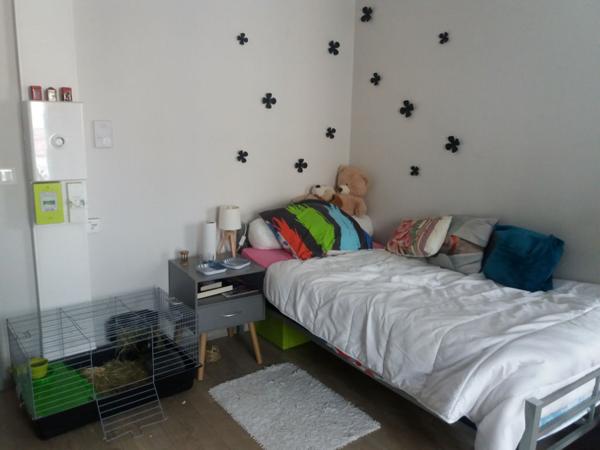 Appartement Albi 1 pièce 20 m²