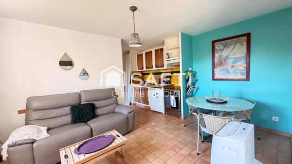 Lauris (84360) -Villa avec dépendance sur jardin arboré