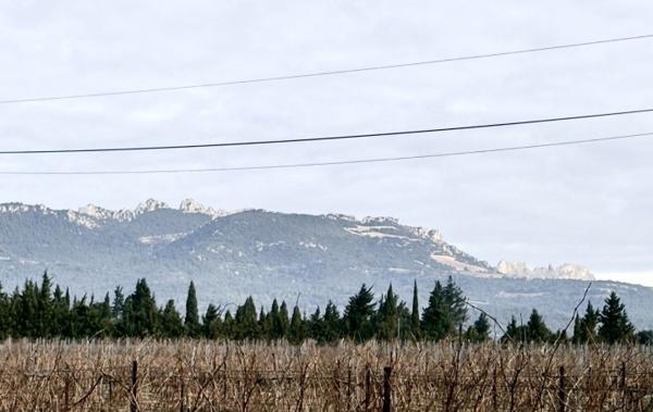 Vente Maison pleine campagne rénové(e) Vacqueyras