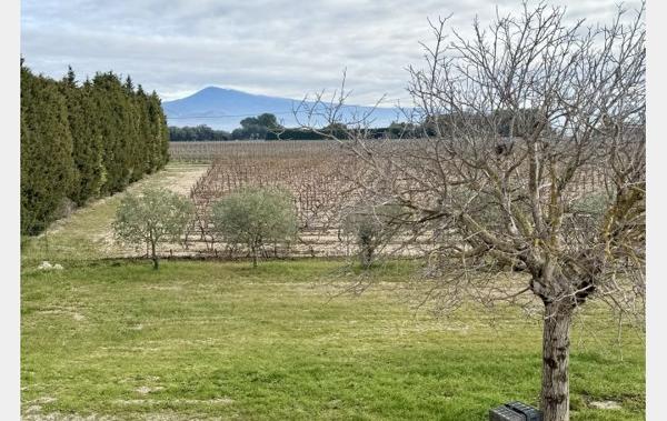 Vente Maison pleine campagne rénové(e) Vacqueyras