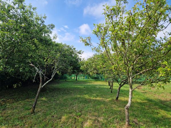 terrain constructible Champagné