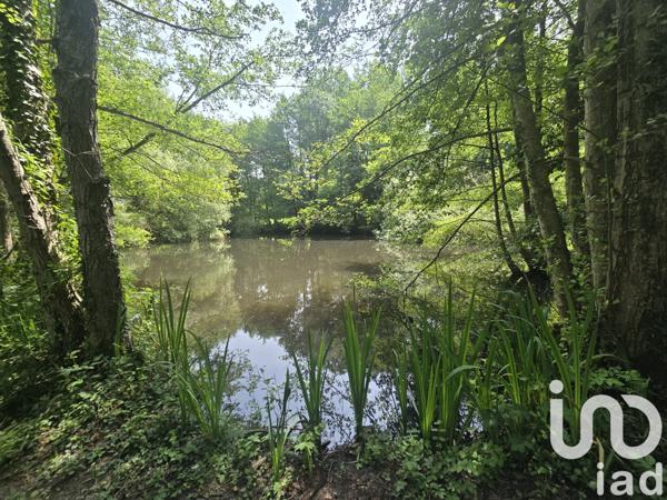 Maison à vendre 8 pièces 282 m² Ceton