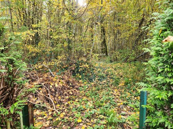 Maison à vendre à Ville-sous-la-Ferté dans l'Aube (10310), ref : 10379/631   
Calme