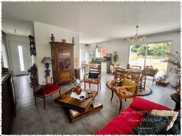 À VENDRE – Ensemble de 2 maisons avec annexes à Méry-sur-Cher