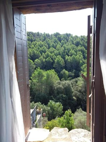 ? Coup de cœur pour les amoureux de la nature !  Charmante maison de village de 53 m² avec 50 m² d'atelier à aménager selon vos envies. Un lieu authentique, plein de charme et de potentiel. À découvrir sans tarder !