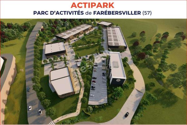 LOCAUX D'ACTIVITÉS/BUREAUX/SHOW ROOM -440m²- Zone Actipark/B'EST -FAREBERSVILLER