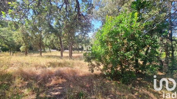 Terrain à vendre 1 726 m² Saint-Raphaël