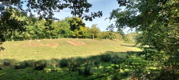 Maison restaurée à vendre à Lezay dans les Deux-Sèvres (79120), ref : 13951