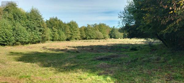 Maison restaurée à vendre à Lezay dans les Deux-Sèvres (79120), ref : 13951