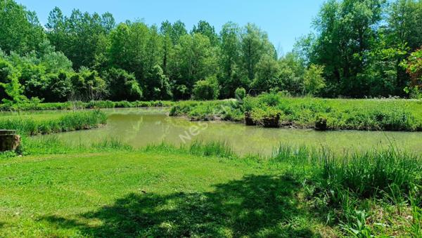 Maison de campagne renovee avec etang entre aux portes de Bergerac en direction de Perigueux !