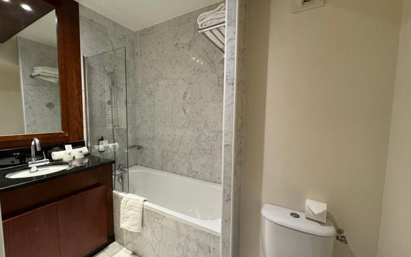 Appartement à vendre    1 pièce • 24,77 m2 Montévrain