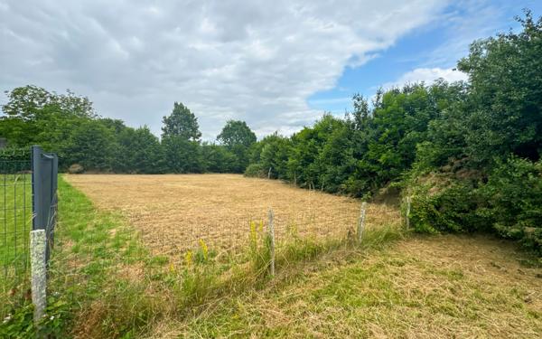 Terrain à vendre    Mensignac