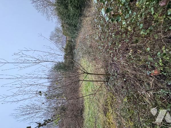 A MORTREE, une maison à usage d'habitation à rénover (41m²)