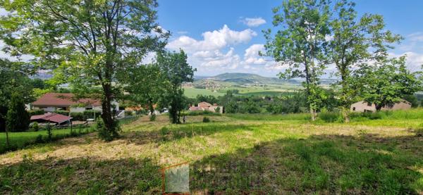 Terrain