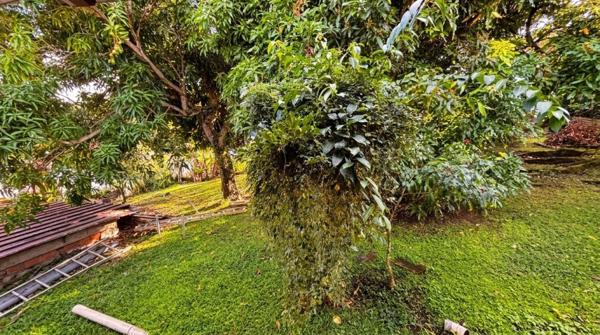 1 opportunité, 3 lots à saisir sur Fort-de-France