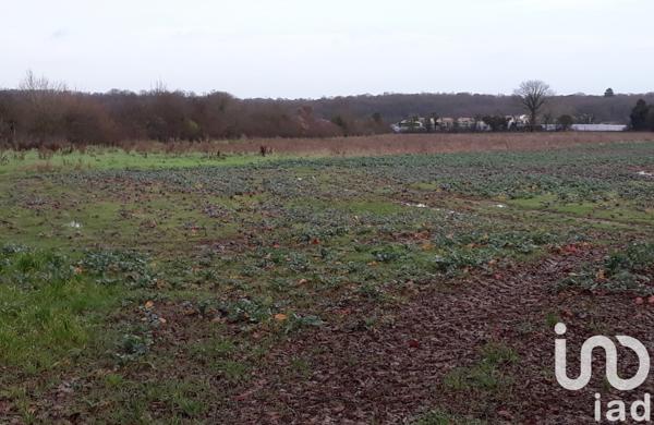 Terrain à vendre 15 080 m² Ligugé