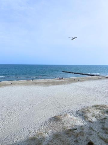 Vente / Appartement T2