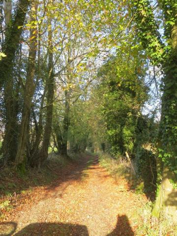 Maison à vendre à Vire-Normandie dans le Calvados (14500), ref : 14076-5803