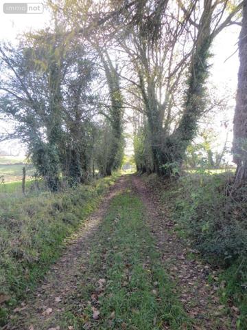 Maison à vendre à Vire-Normandie dans le Calvados (14500), ref : 14076-5803