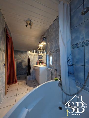 St louis la chaussee (68300) Maison de 153 m2 à fort potentiel (famille nombreuse/ bi-famille/ investissement locatif-airbnb)