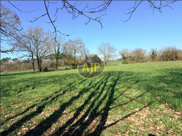 Vente terrain Pierric : 55 250 € - AJP By Marie