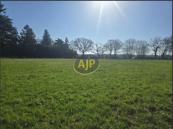 Vente terrain Pierric : 55 250 € - AJP By Marie