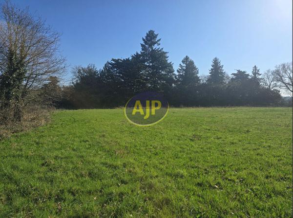 Vente terrain Pierric : 55 250 € - AJP By Marie