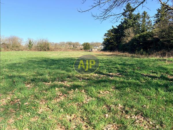 Vente terrain Pierric : 55 250 € - AJP By Marie