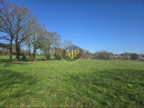 Vente terrain Pierric : 55 250 € - AJP By Marie