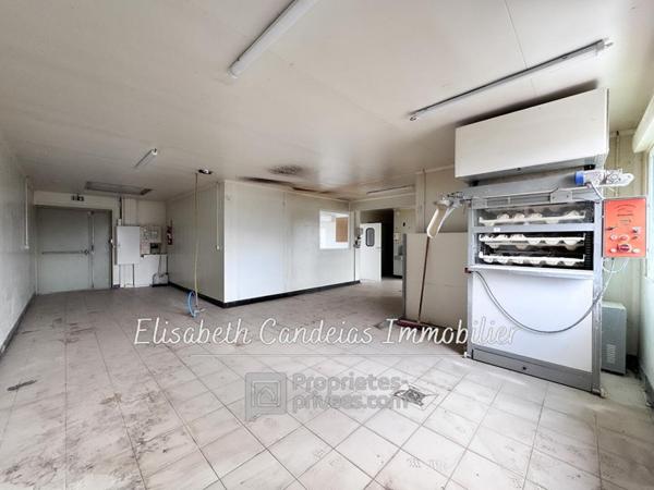 Local commercial Saint Paul Sur Save 120 m2