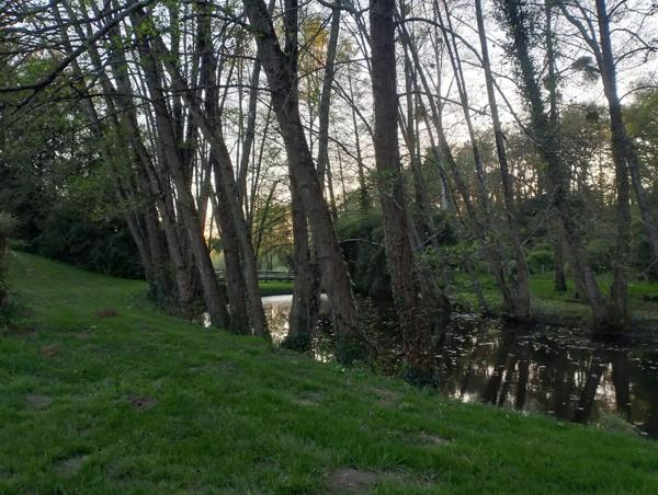 Véritable havre de paix aux portes de la forêt !