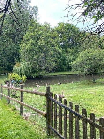 Véritable havre de paix aux portes de la forêt !
