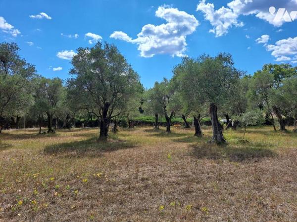 VALBONNE VILLAGE A PIEDS MAGNIFIQUE TERRAIN A BATIR DOMINANT DE 2775 M2 PLAT ET CALME