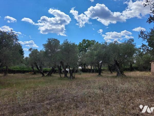 VALBONNE VILLAGE A PIEDS MAGNIFIQUE TERRAIN A BATIR DOMINANT DE 2775 M2 PLAT ET CALME