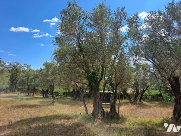 VALBONNE VILLAGE A PIEDS MAGNIFIQUE TERRAIN A BATIR DOMINANT DE 2775 M2 PLAT ET CALME