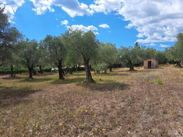 VALBONNE VILLAGE A PIEDS MAGNIFIQUE TERRAIN A BATIR DOMINANT DE 2775 M2 PLAT ET CALME