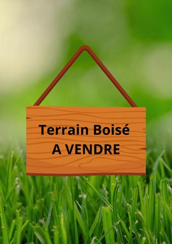 Bois de chasse Travecy 02100 m2