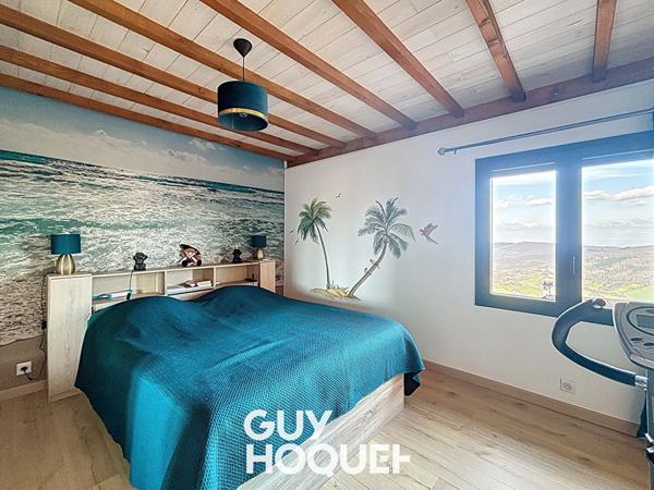 Maison avec piscine, dépendances et vue imprenable - 69840 CENVES