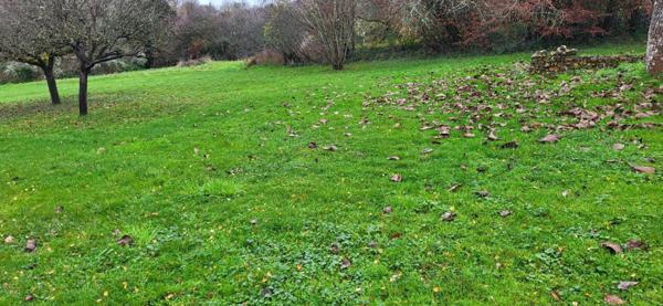 Terrain à BLOIS, 41000 - 2014m²