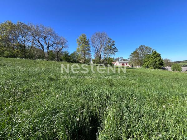 Beau terrain avec vue dégagée de plus de 6500 m2 sur Le Pertuis