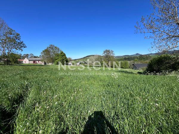 Beau terrain avec vue dégagée de plus de 6500 m2 sur Le Pertuis