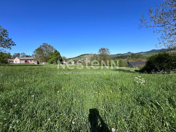 Beau terrain avec vue dégagée de plus de 6500 m2 sur Le Pertuis