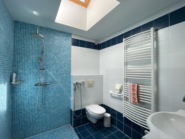 Maison 7 pièces - 250 m² Bien prestige