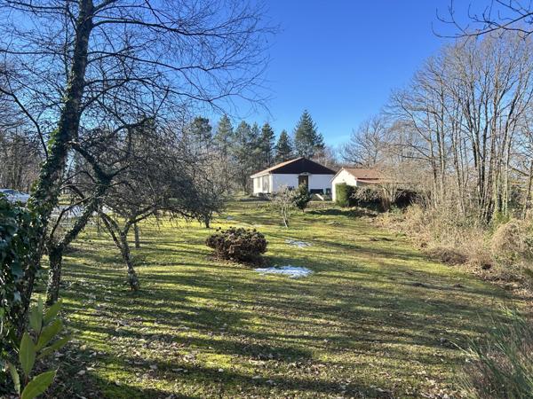 Terrain - 1468 m² Exclusivité efficity