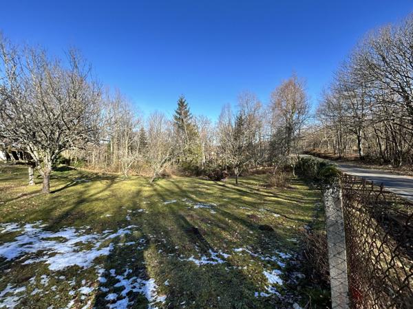 Terrain - 1468 m² Exclusivité efficity