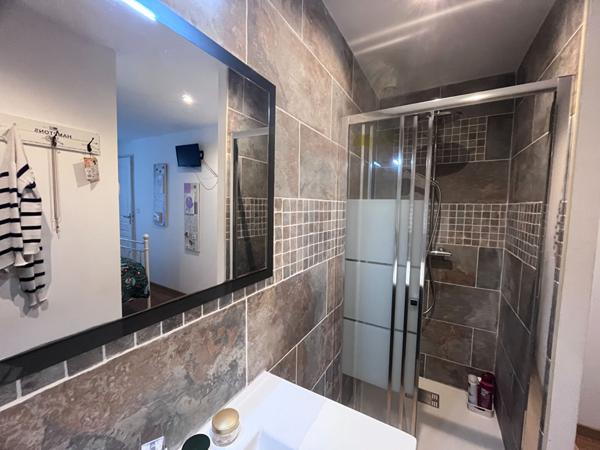 Maison Andouille avec piscine