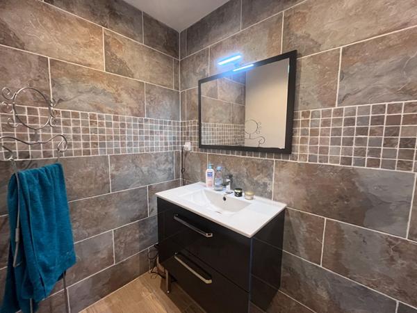 Maison Andouille avec piscine