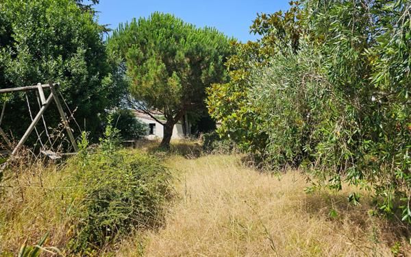 Maison à vendre    4 pièces •  Le Bois-Plage-en-Ré