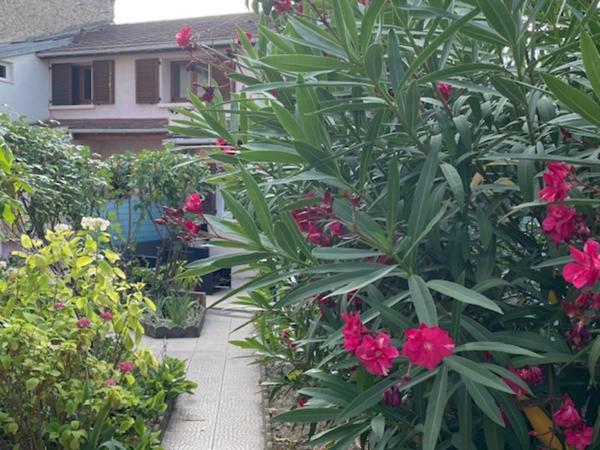 NANTERRE CENTRE VILLE