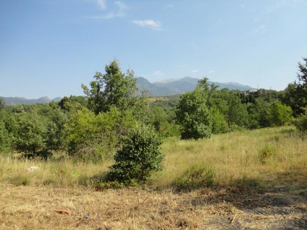 Dpt Pyrénées Orientales (66), à vendre PRADES Terrain constructible 375 m², 3 faces, libre constructeur